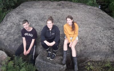 Hällen med Smålandssången rengjord