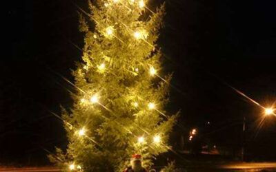 Vi tänder julgranen & bjuder in till Advents- & jubileumsfest!