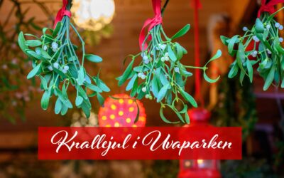 Knallejul i Uvaparken 2025